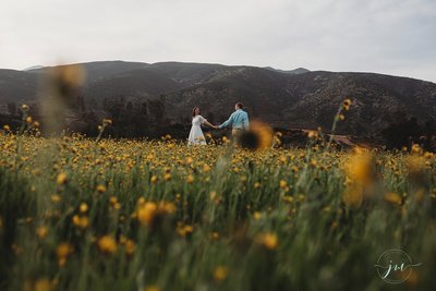 Jake and Whitney-Romantic Picnic Engagement-Janae Marie Photography_0010