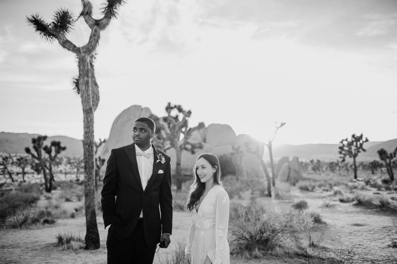 Jamal and Sarah-Joshua Tree Elopement-Janae Marie Photography152